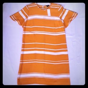 NWT Ann Taylor Striped Ruffle Sleeve Shift Dress